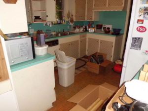 Kitchen 3